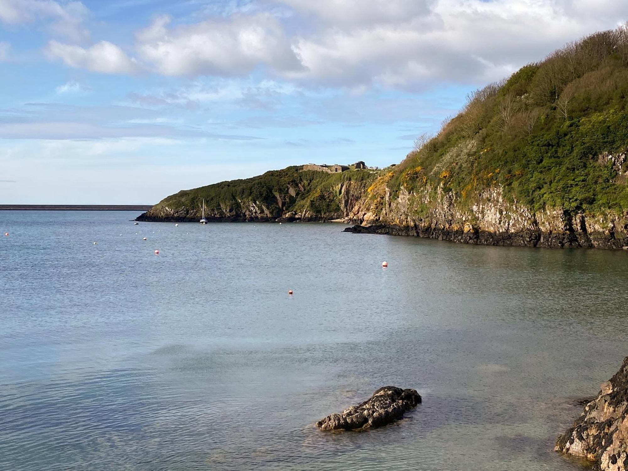 Snowdrop Cottage Fishguard Exteriér fotografie